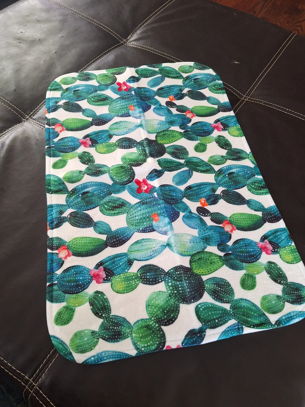 Cactus Print Indoor Mat - Green & Teal